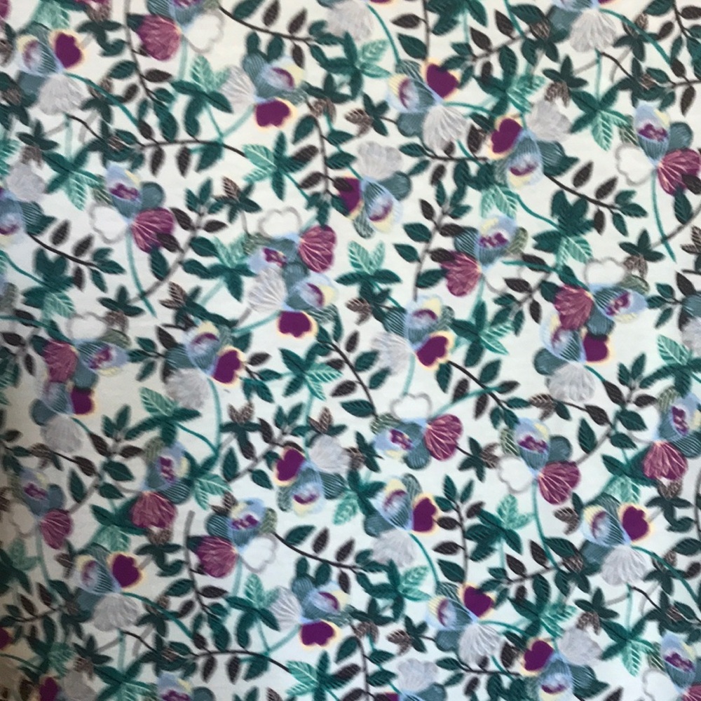 NWT Lularoe Small Gigi.